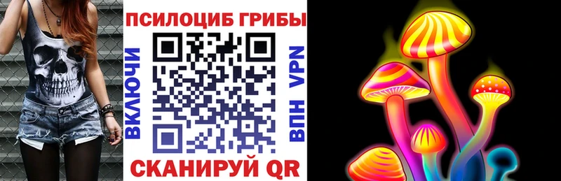 даркнет сайт  Медынь  Псилоцибиновые грибы Cubensis 