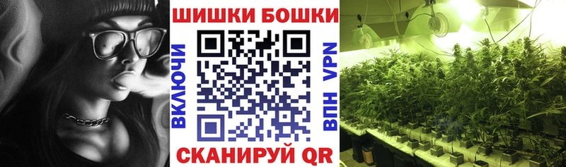 Бошки марихуана THC 21%  как найти   Медынь 